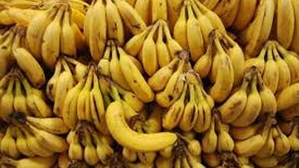 Foto de pencas de banana